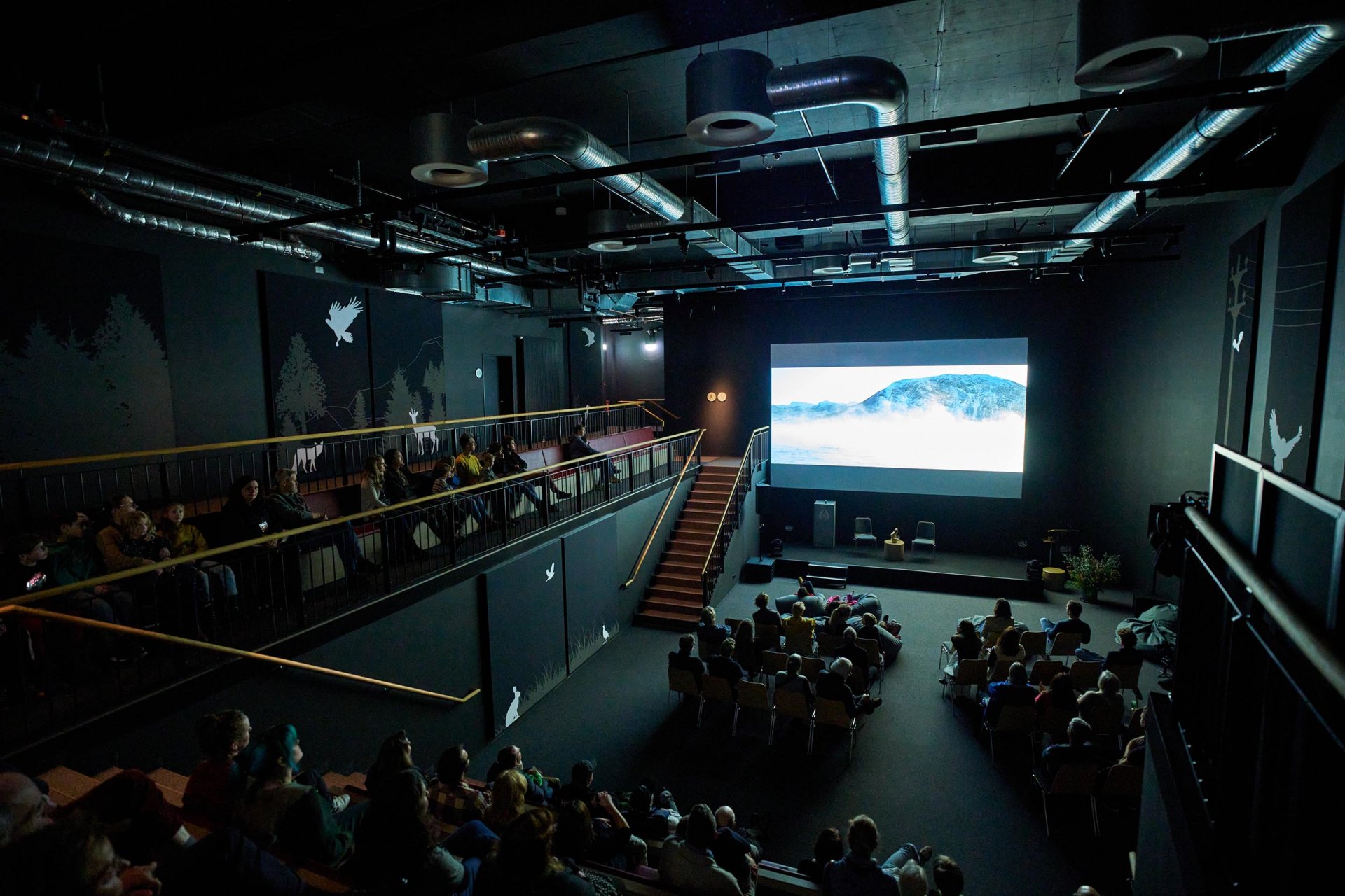Naturfilmkino in der Botschaft der Wildtiere