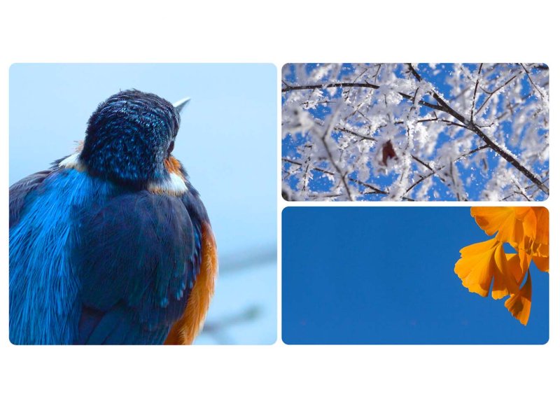 Colours