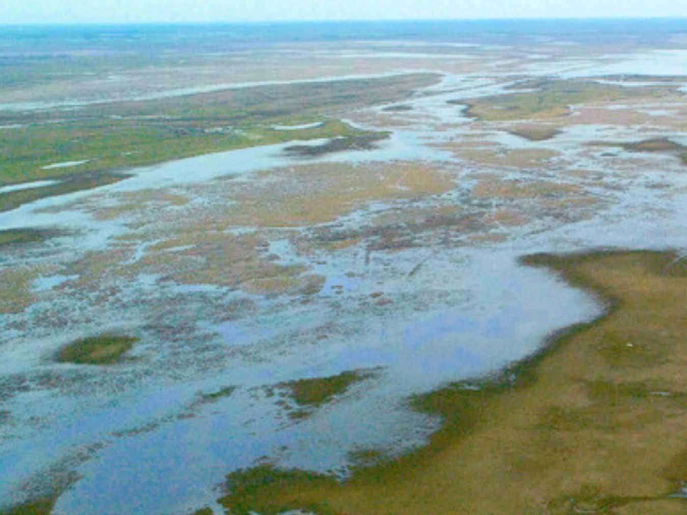 Korridore des Lebens