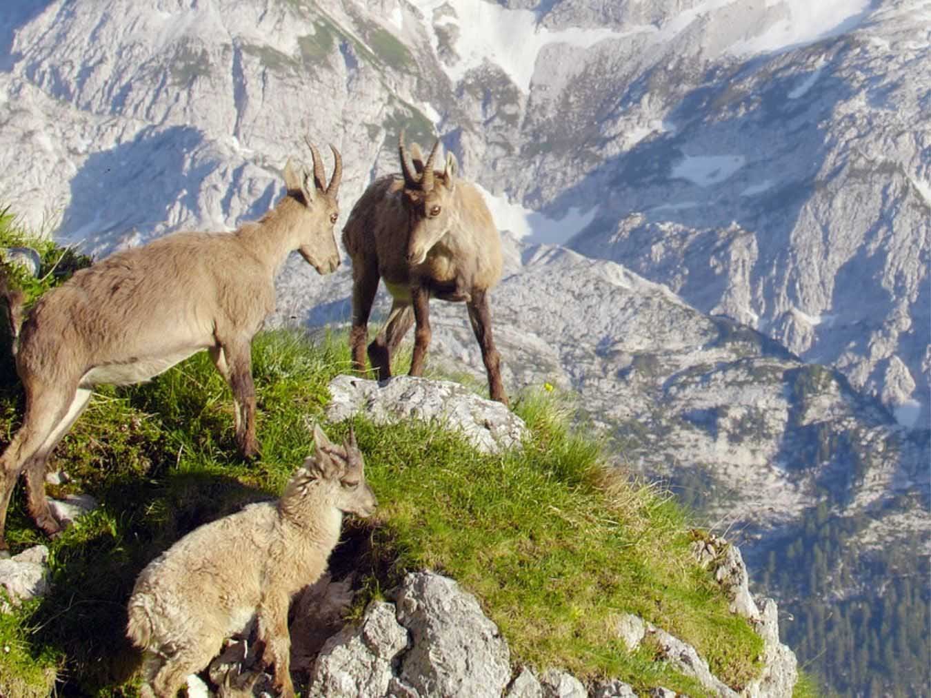 Slovenia - Where Nature Comes First