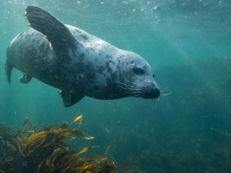 Seas in Motion Part 3