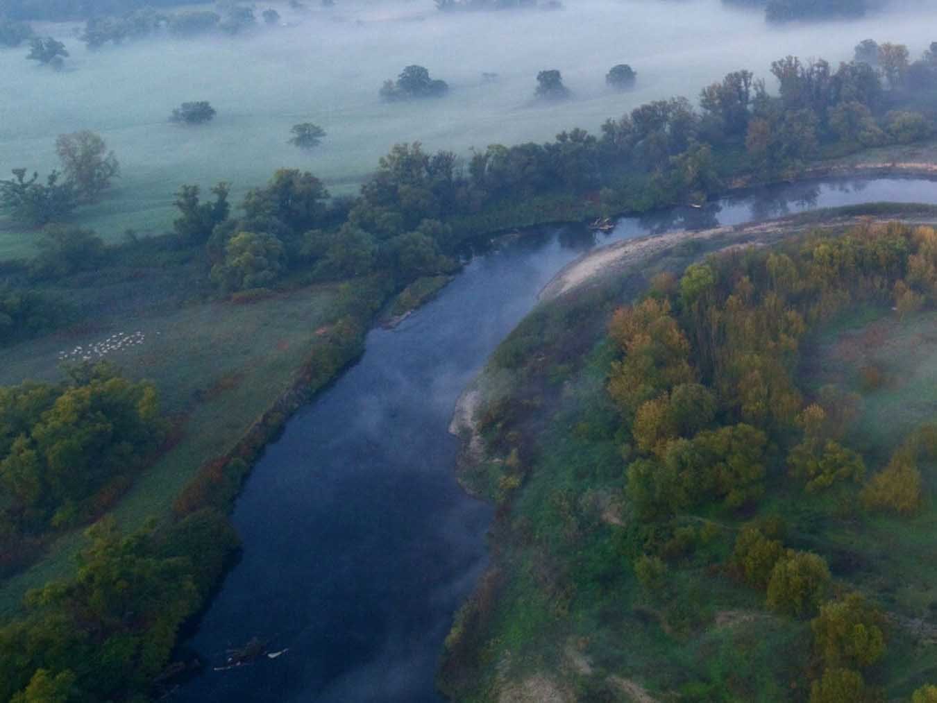 Ungezähmt – Im Fluss des Lebens