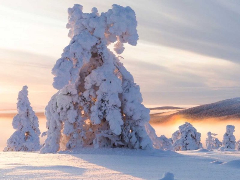 Tale of the Sleeping Giants