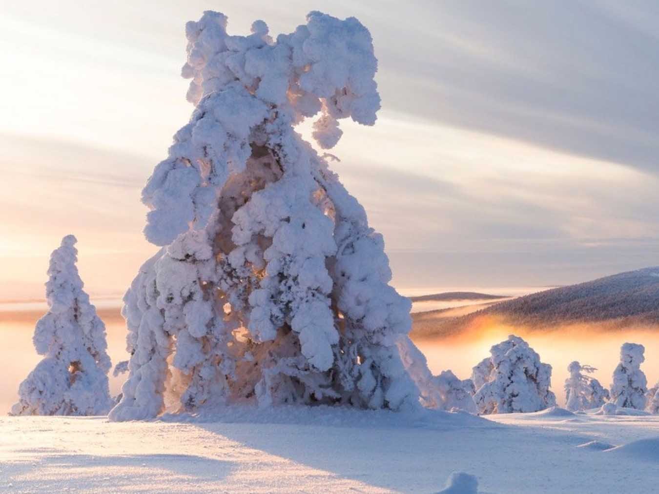 Die Geschichte der schlafenden Riesen