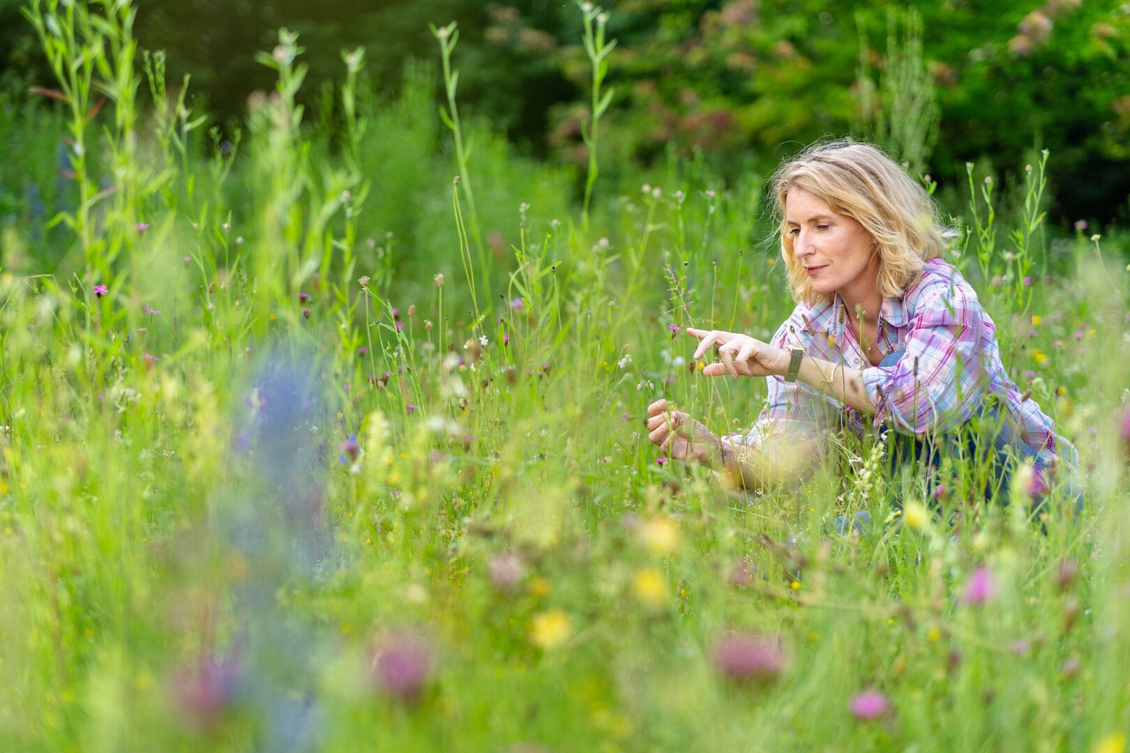 Das Ende der Insekten?