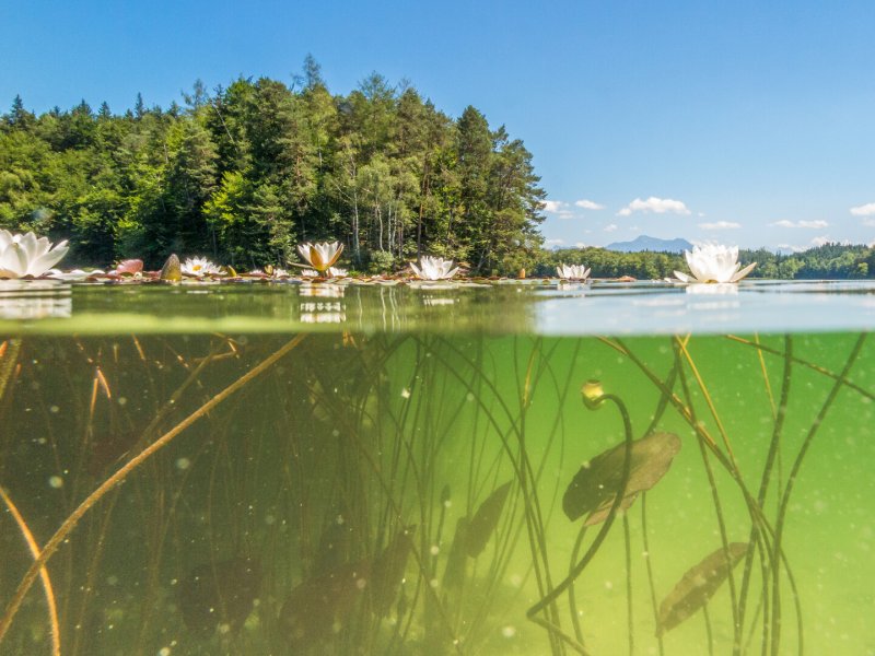 Eintauchen ins tiefe Blau &ndash; Unsere Seen im Norden