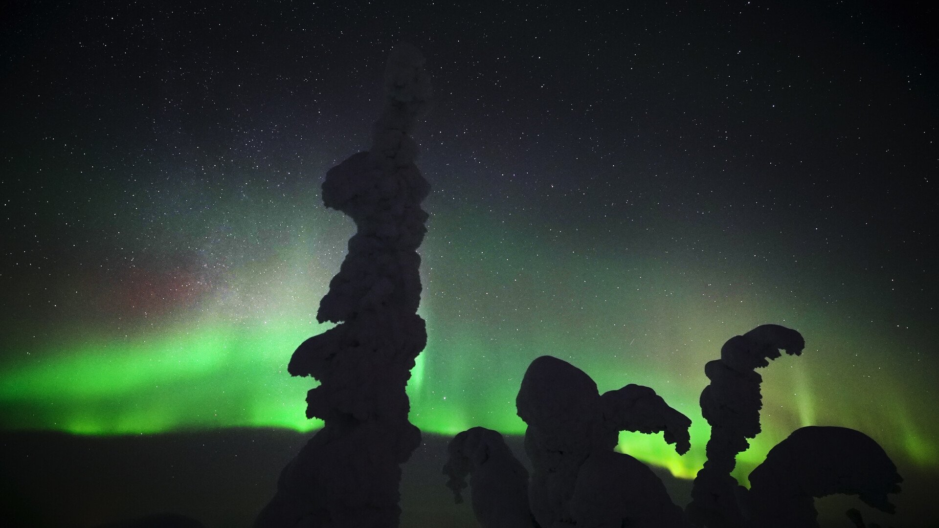 Faszination Europa – Geheimnisvolle Wälder