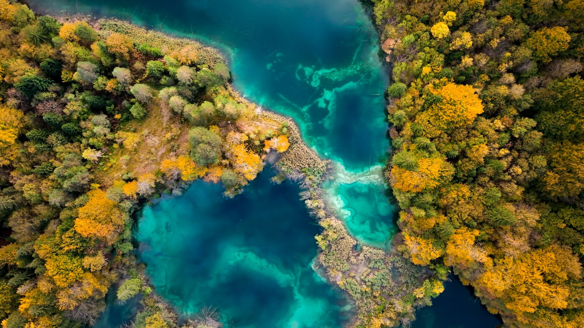 Europe – Freshwater