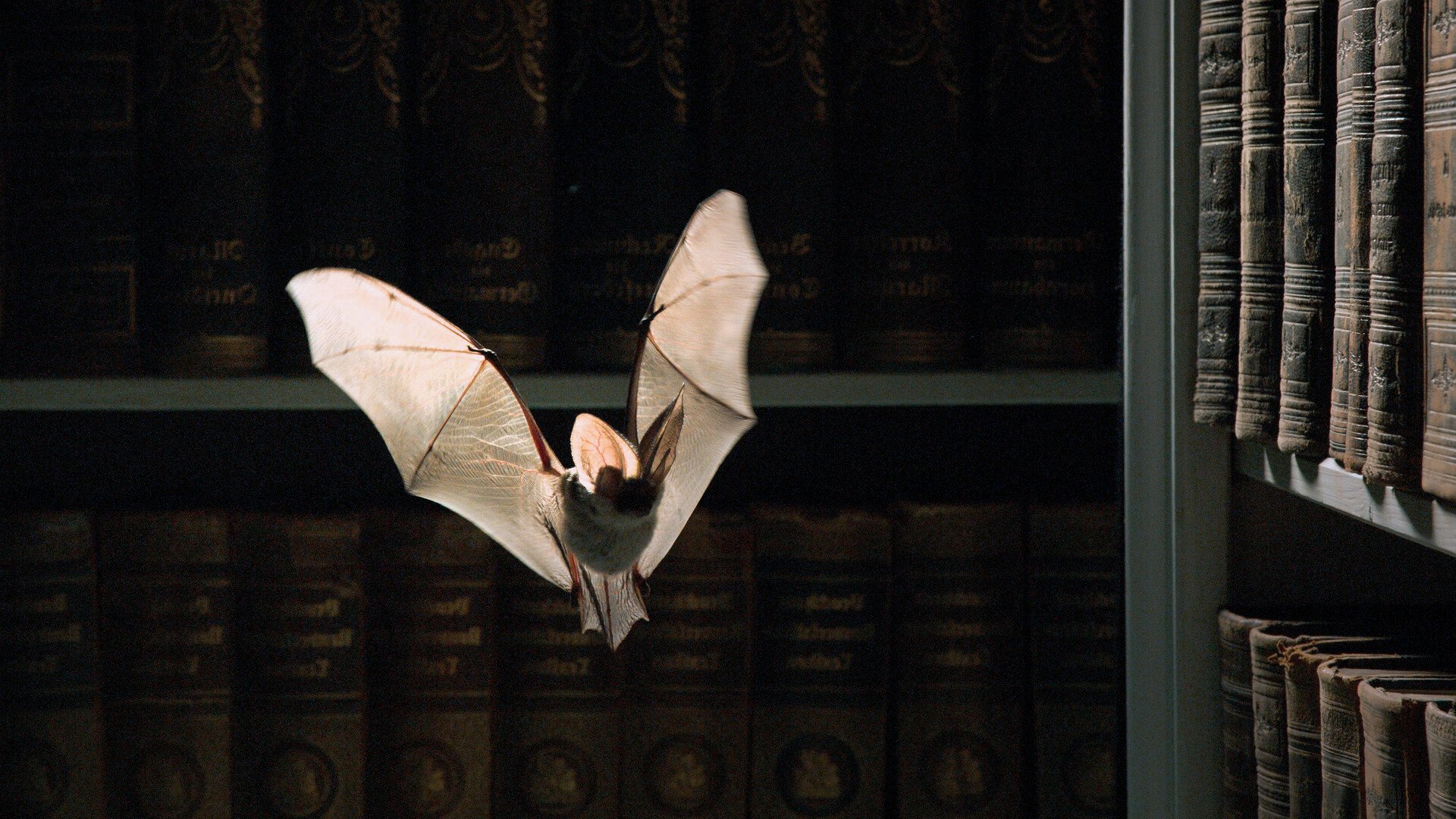 Europe – Human Habitats