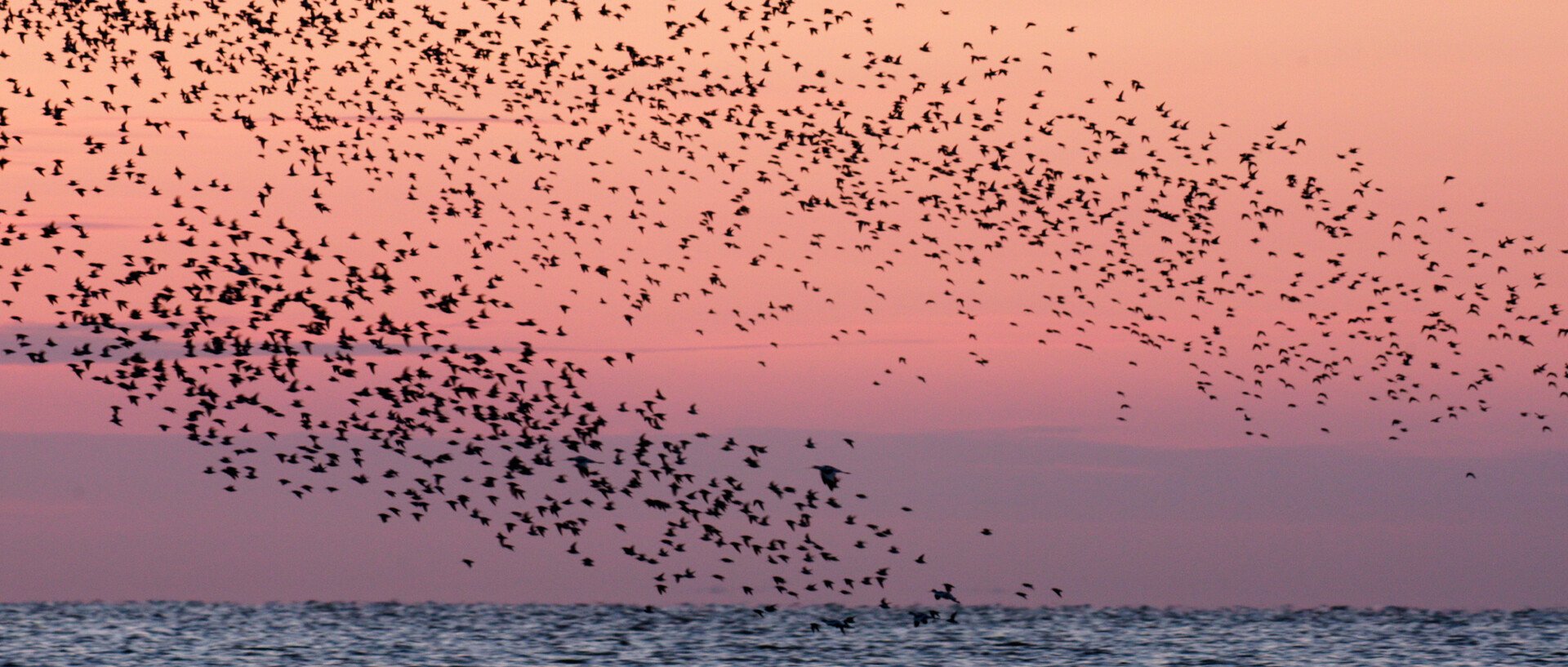 Het Wad Op – Bezinken