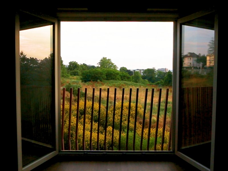 Make a Wildlife Documentary in front of your Home