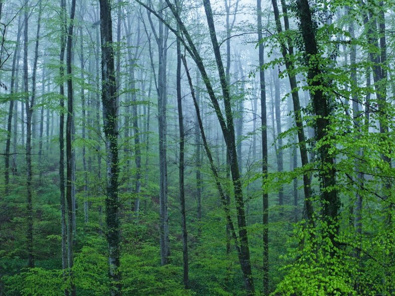 Raindrop &ndash; Die Reise des Wassers