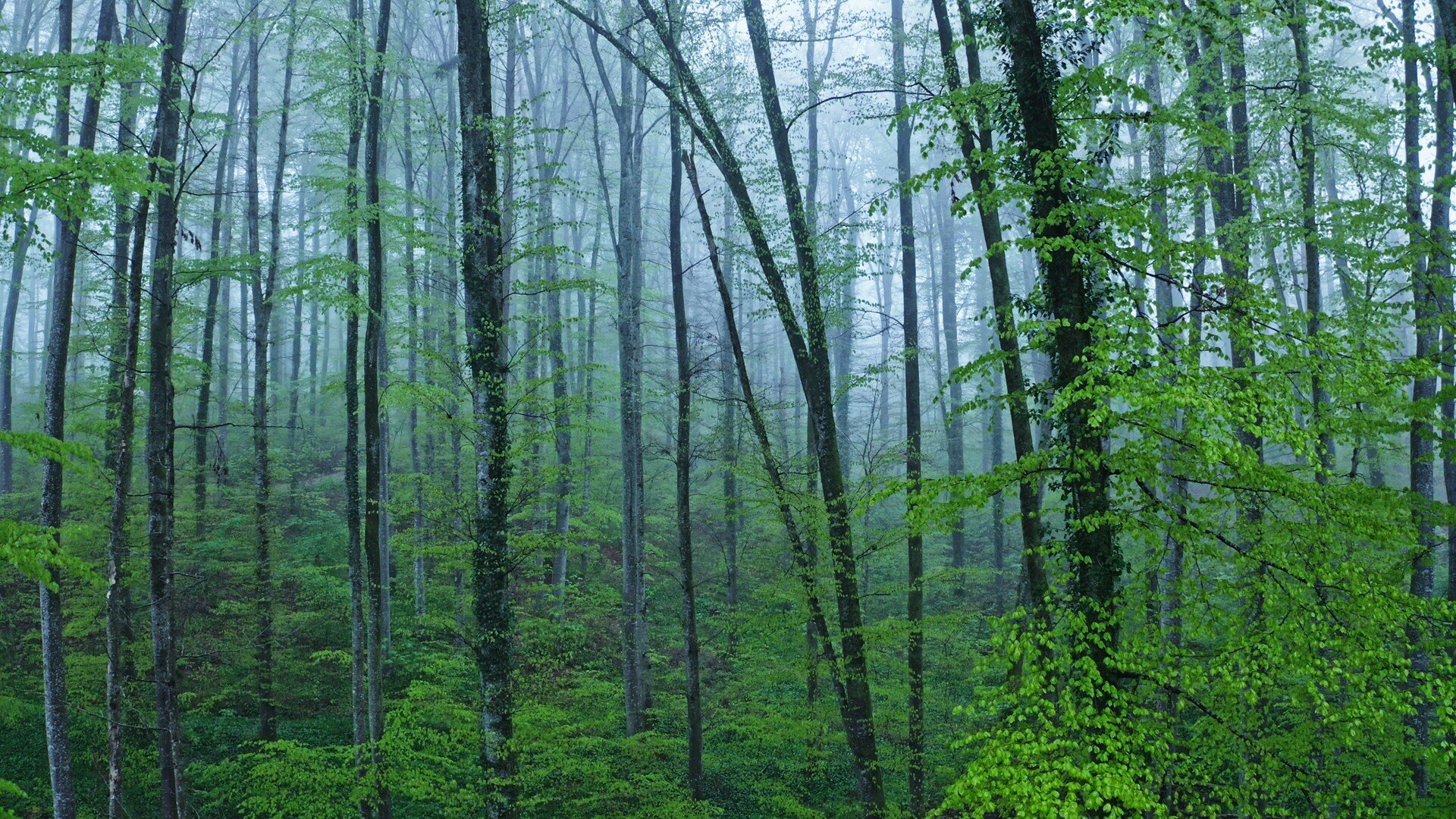 Raindrop – Die Reise des Wassers 