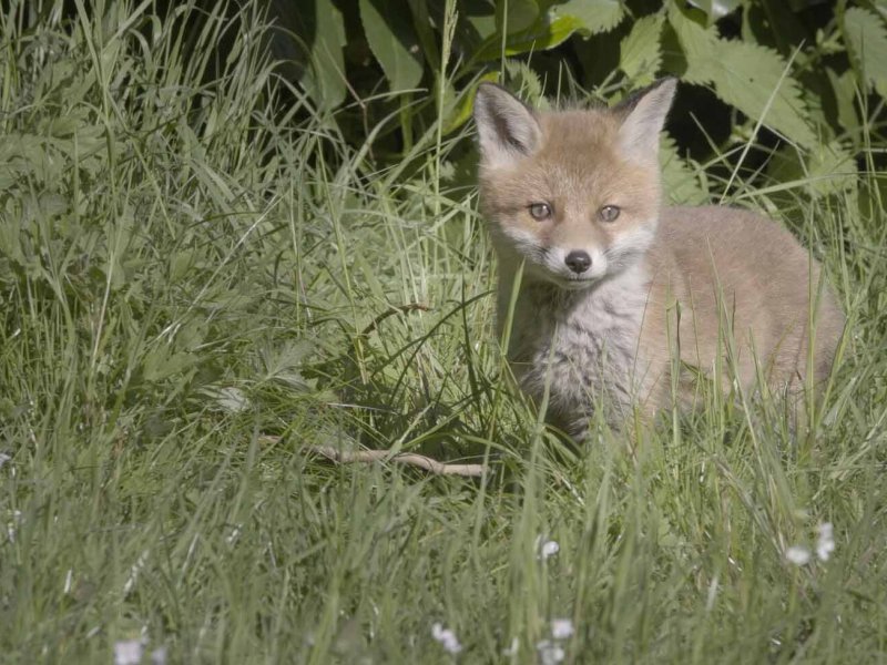 Willkommen in der Nachbarschaft