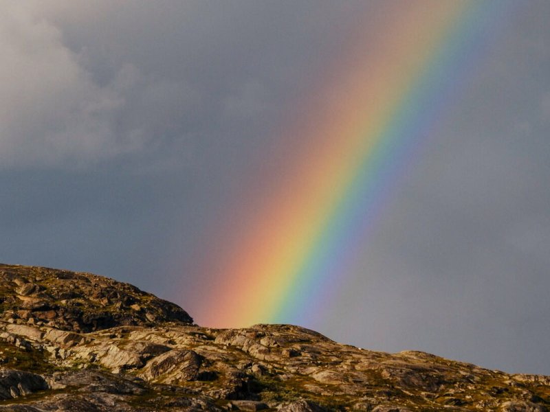 Dovrefjell: The Land Remembers