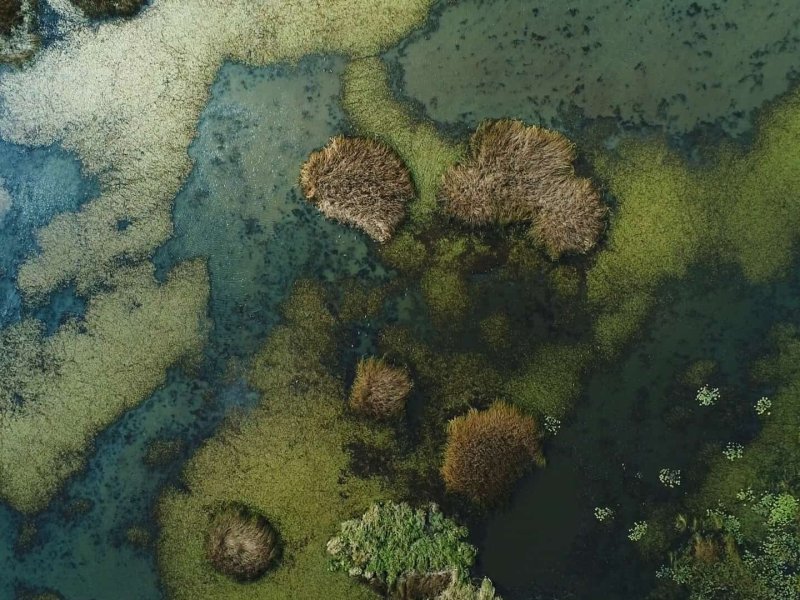 Shaped by Water