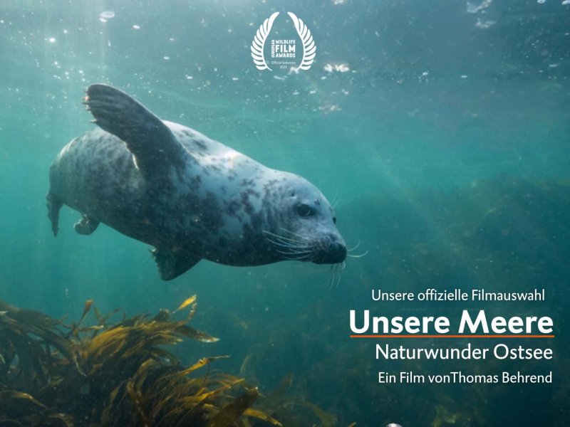 Unsere Meere – Naturwunder Ostsee