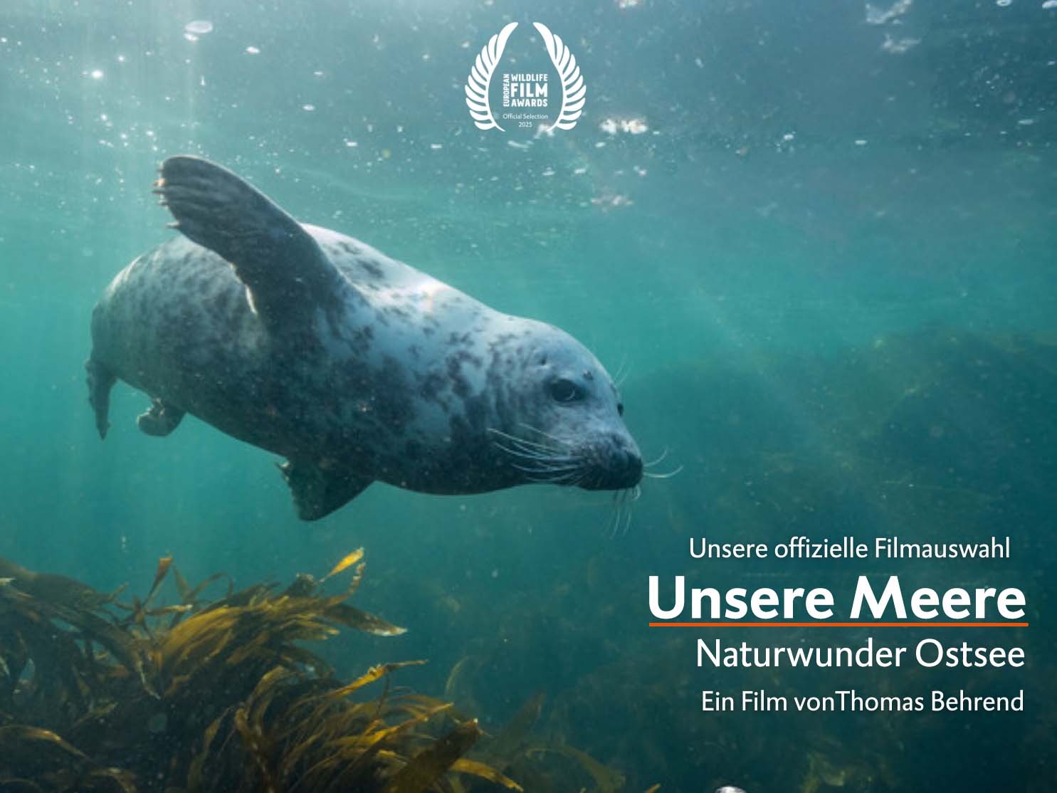 Unsere Meere – Naturwunder Ostsee