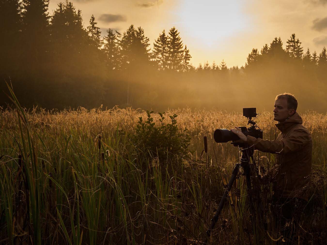 Czech Wildlife 2023